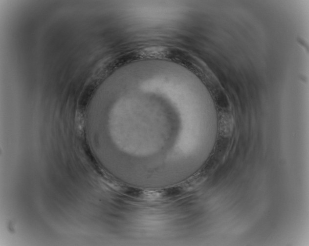 X0000097480701200803141935