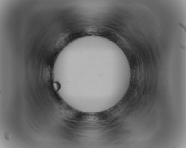 X0000097480702200803141935