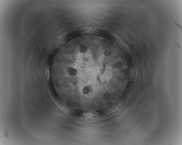 X0000097480703200803141935