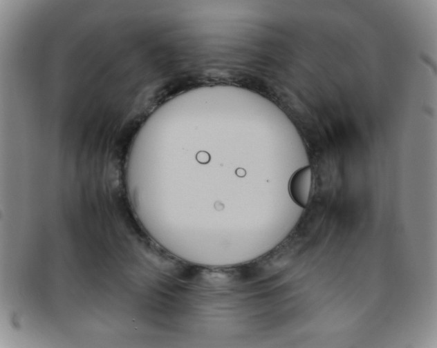 X0000097480706200803141935