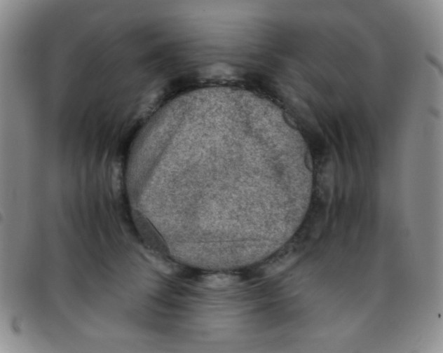 X0000097480708200803141935