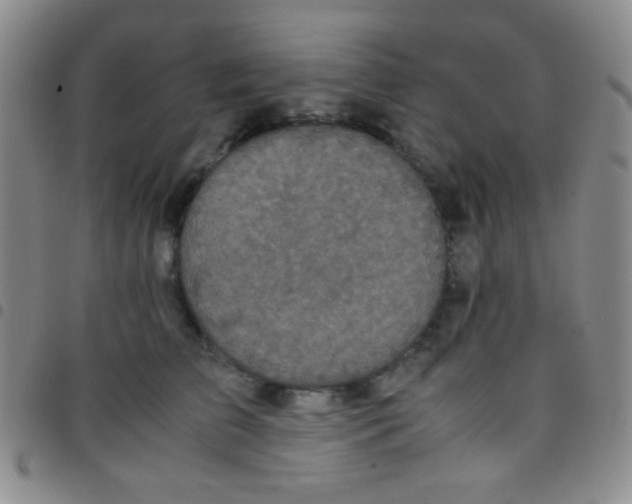 X0000097480709200803141935