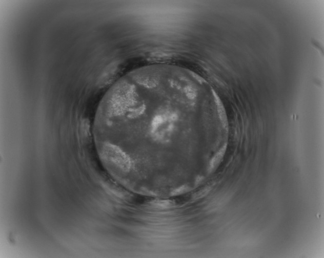 X0000097480711200803141935