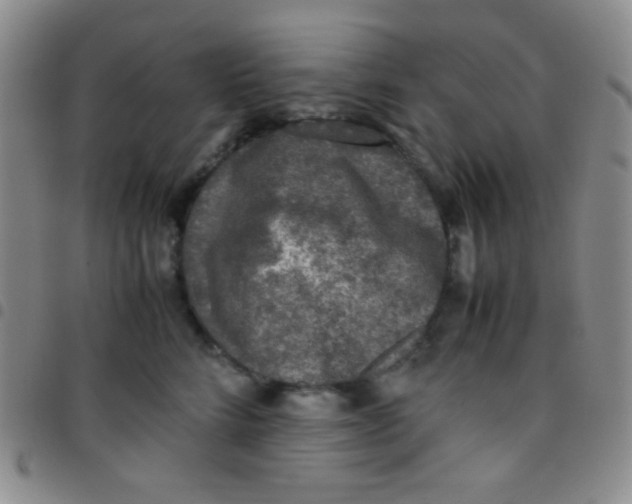 X0000097480712200803141935