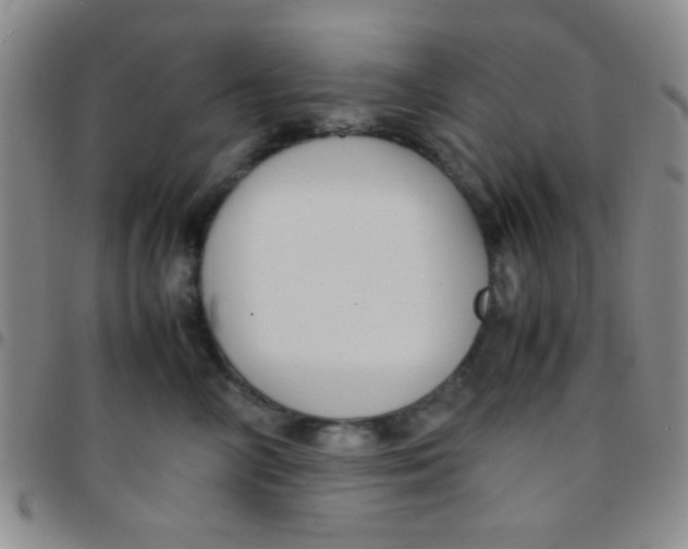 X0000097480714200803141935