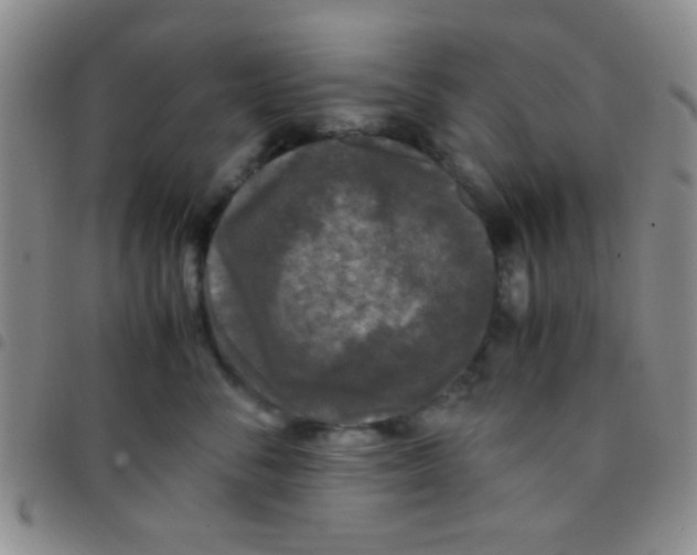 X0000097480716200803141935