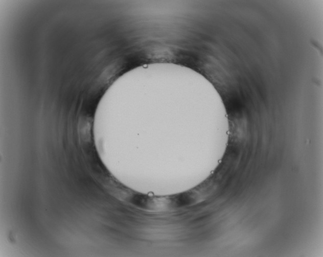 X0000097480717200803141935