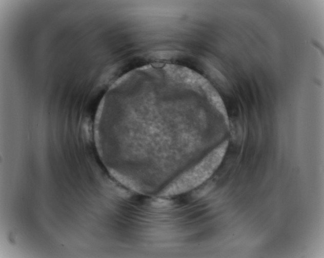 X0000097480718200803141935