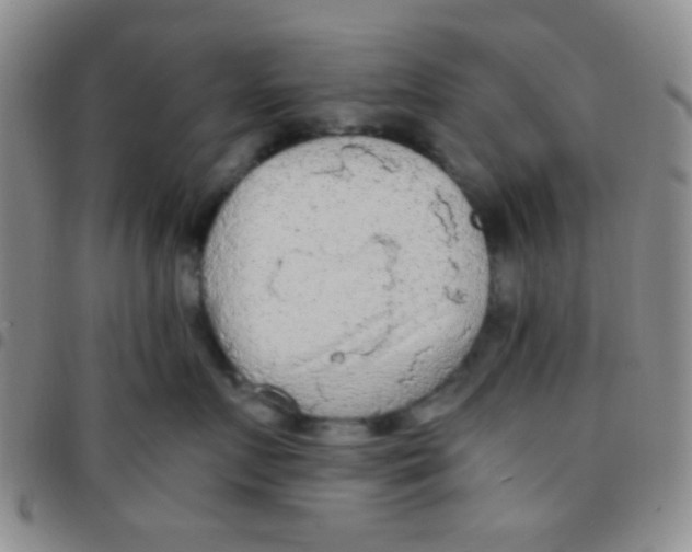 X0000097480719200803141935