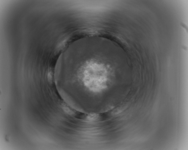 X0000097480720200803141935