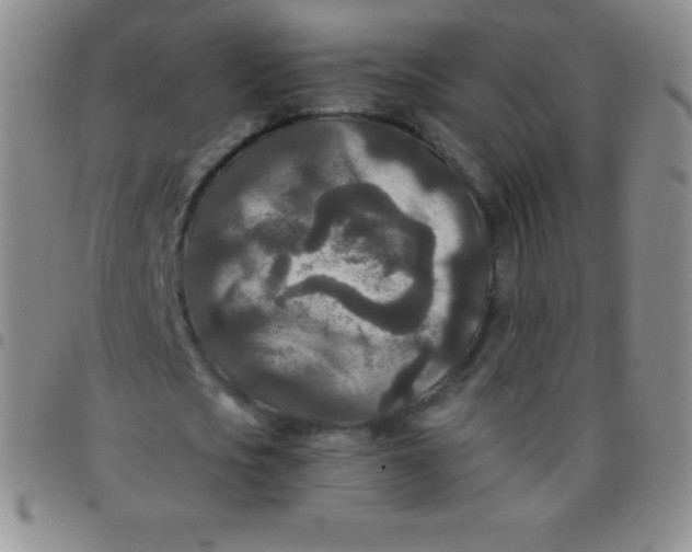 X0000097480721200803141934