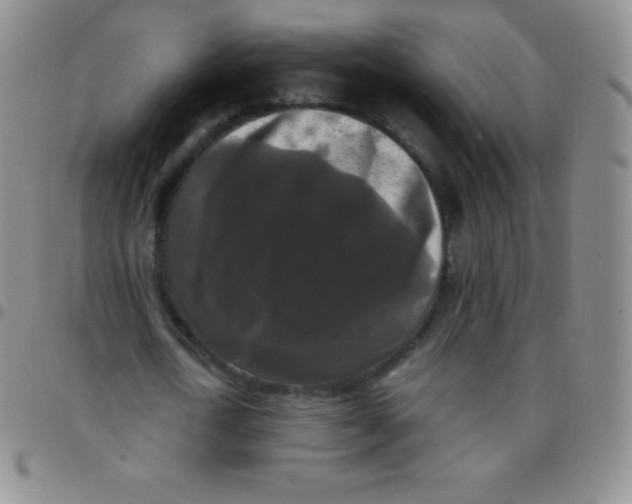 X0000097480722200803141934