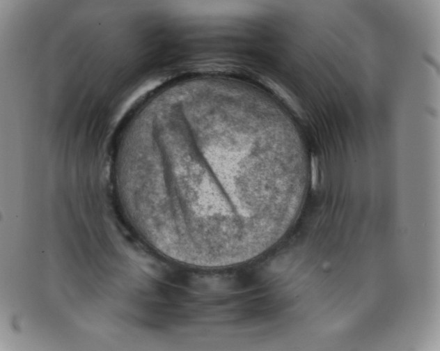 X0000097480723200803141934