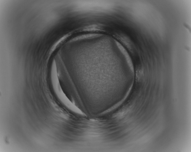 X0000097480724200803141934