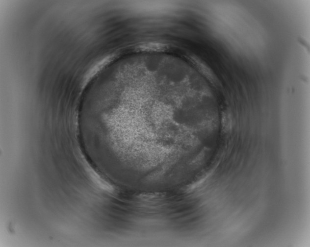 X0000097480725200803141934