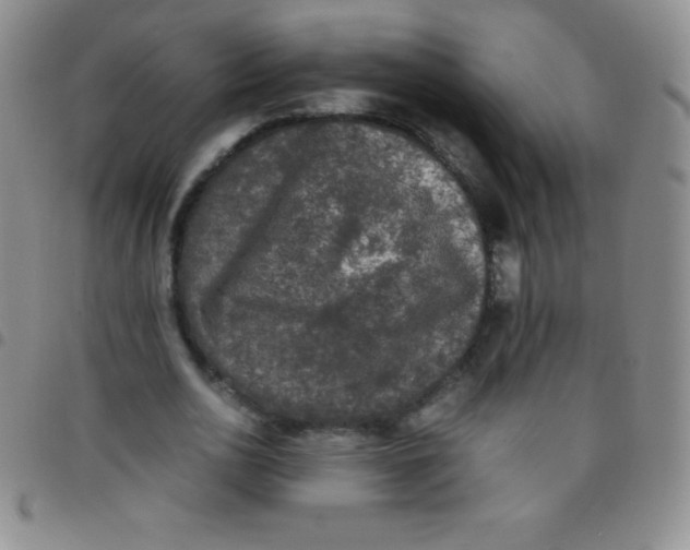 X0000097480726200803141934