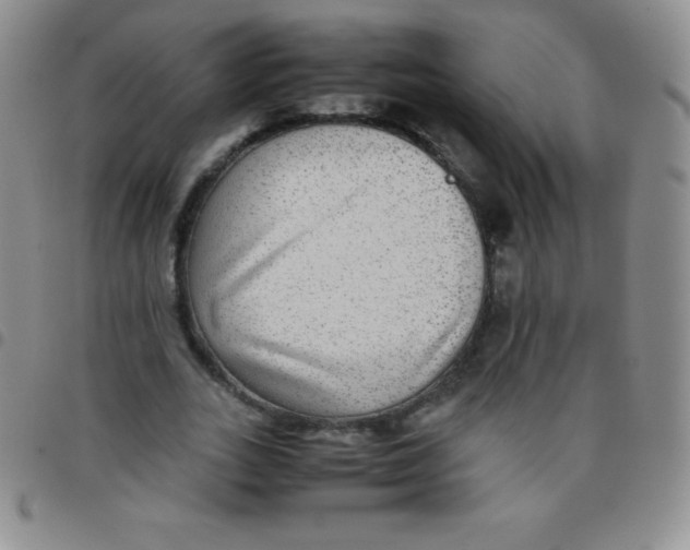 X0000097480727200803141934