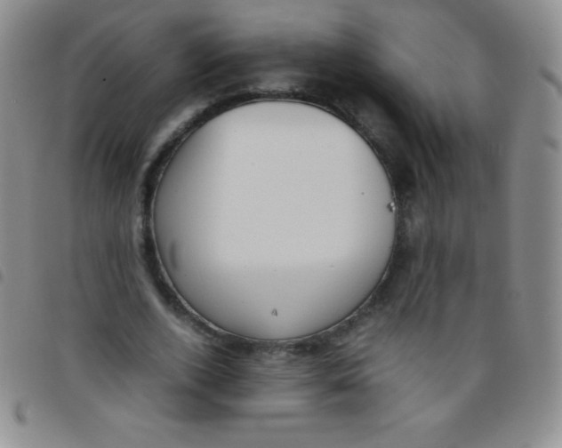 X0000097480728200803141934