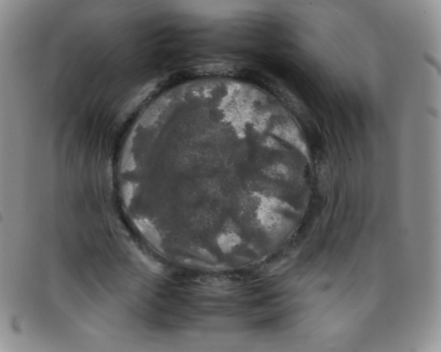 X0000097480729200803141934