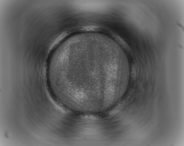 X0000097480730200803141934