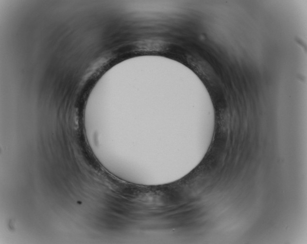 X0000097480731200803141934