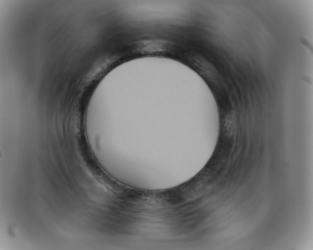 X0000097480732200803141934