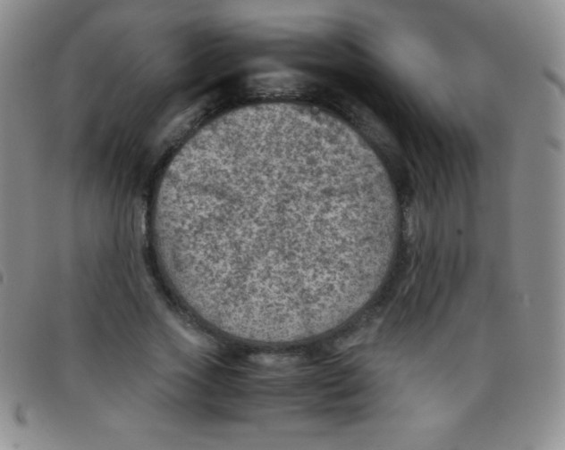 X0000097480733200803141934