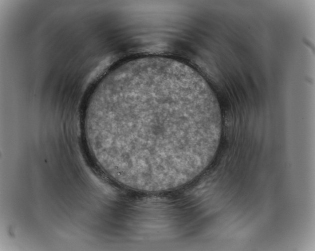 X0000097480734200803141934