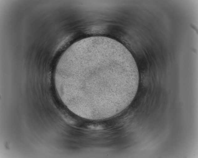 X0000097480735200803141934