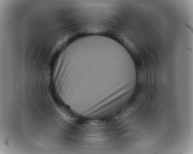 X0000097480736200803141934