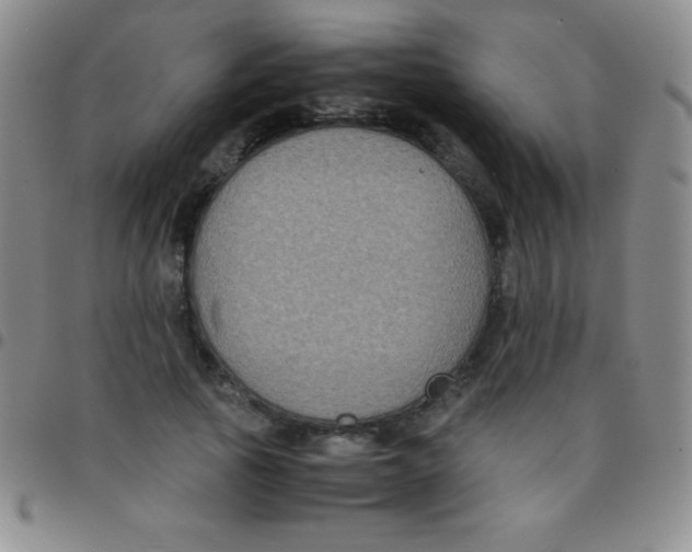 X0000097480737200803141934