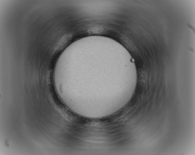 X0000097480738200803141934