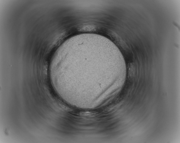 X0000097480739200803141934