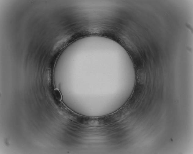 X0000097480740200803141934