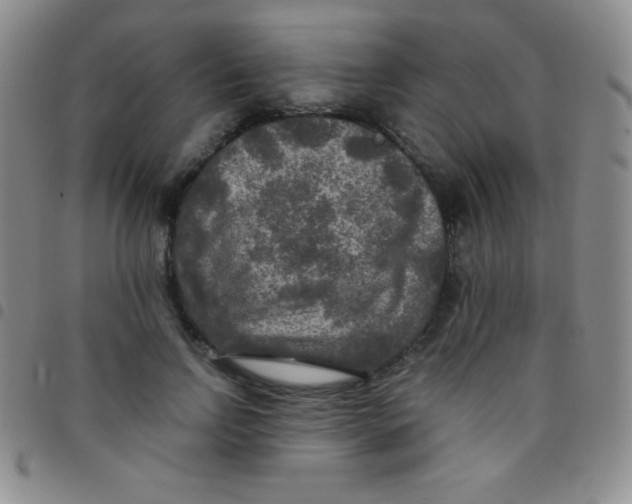 X0000097480742200803141934