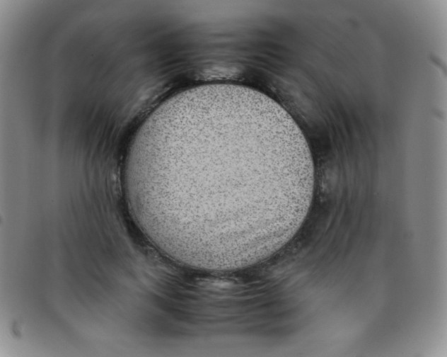 X0000097480743200803141934