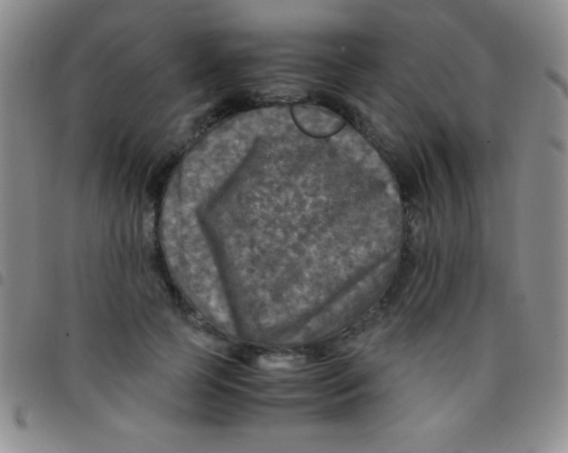 X0000097480745200803141934