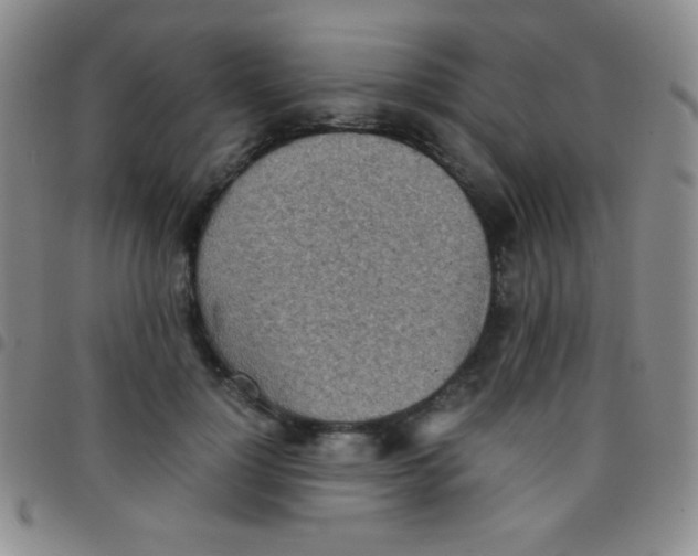 X0000097480748200803141934