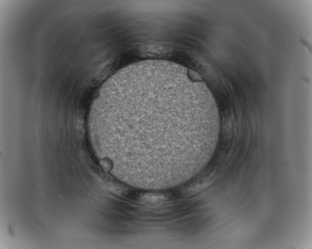 X0000097480749200803141934