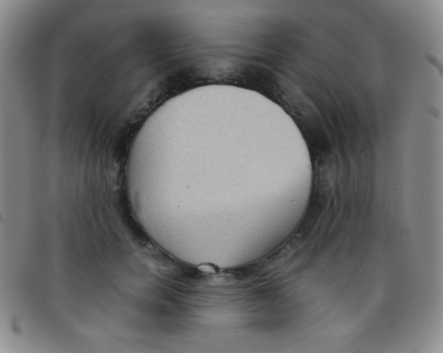 X0000097480750200803141934