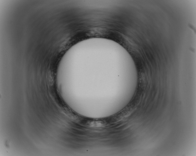 X0000097480751200803141934