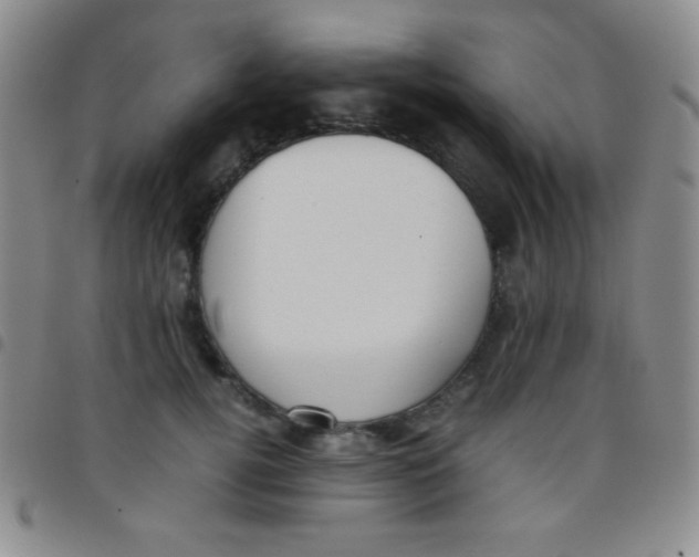 X0000097480752200803141934