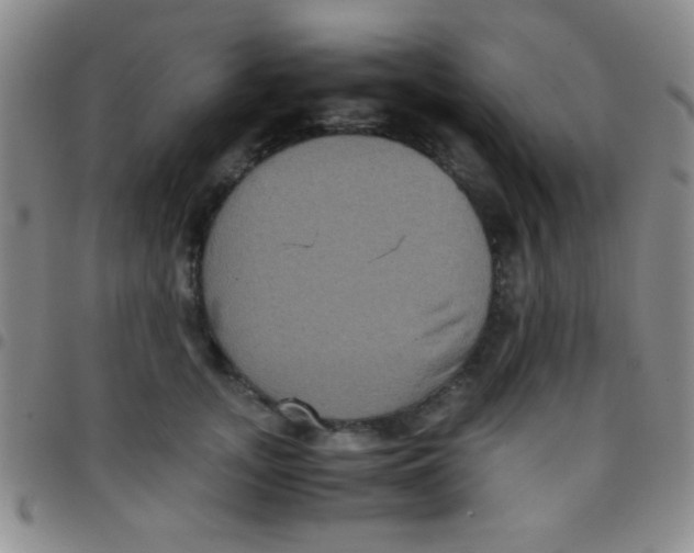 X0000097480755200803141935