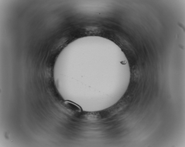 X0000097480756200803141935