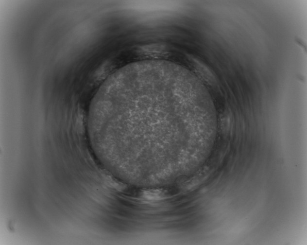 X0000097480757200803141935