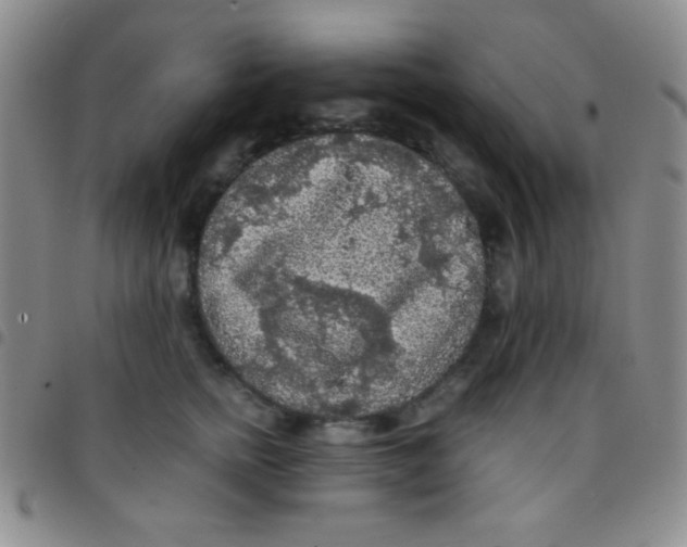 X0000097480758200803141935