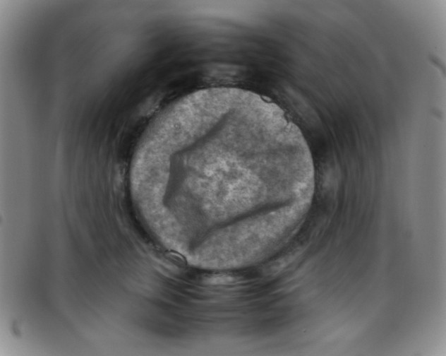 X0000097480759200803141935