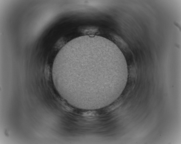 X0000097480761200803141935