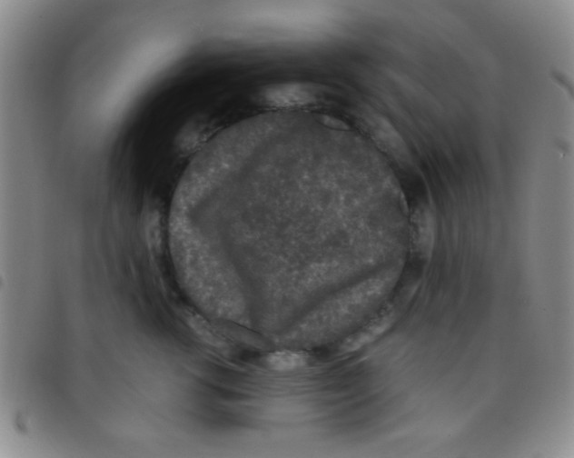 X0000097480762200803141935