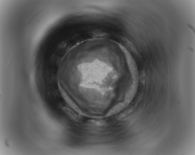 X0000097480763200803141935